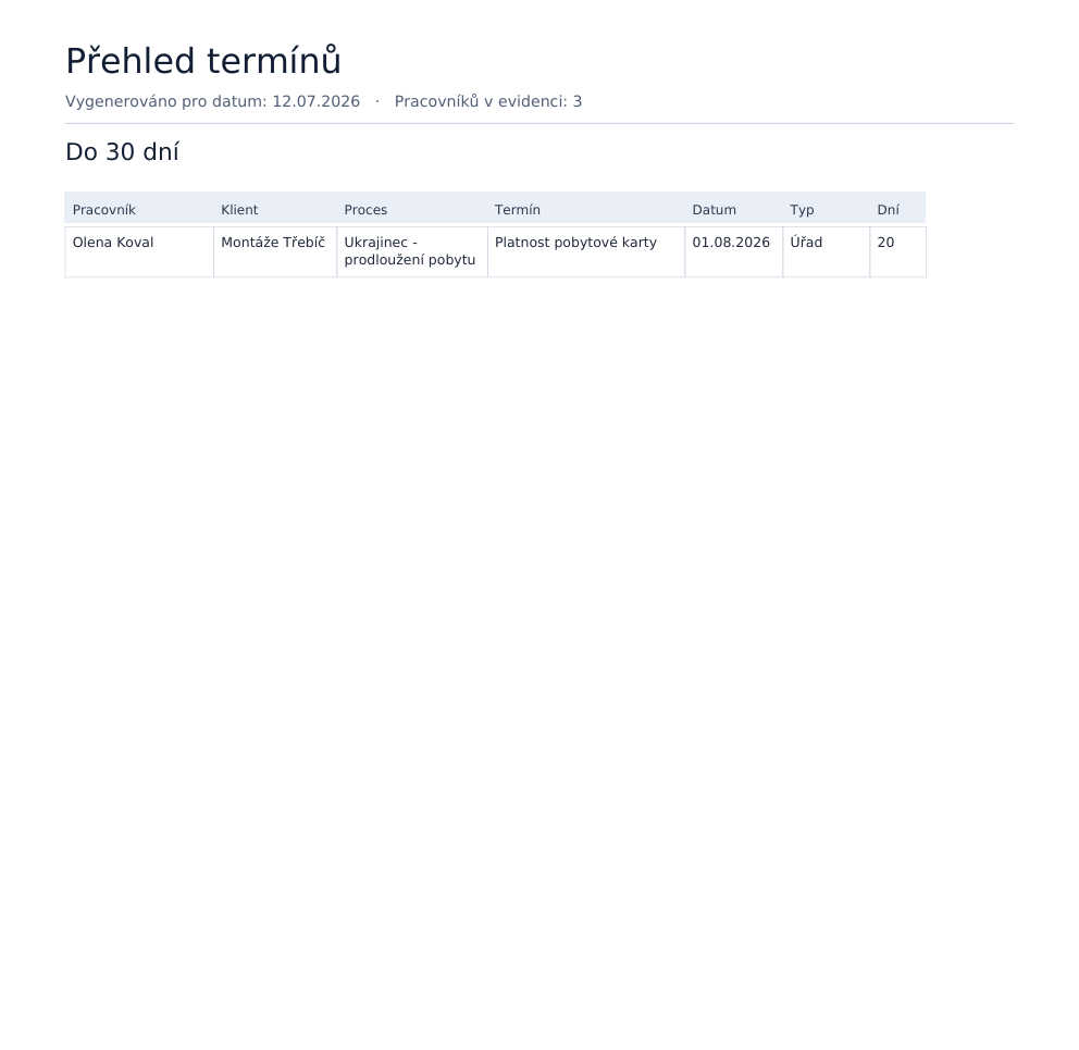 Report pro řízení práce